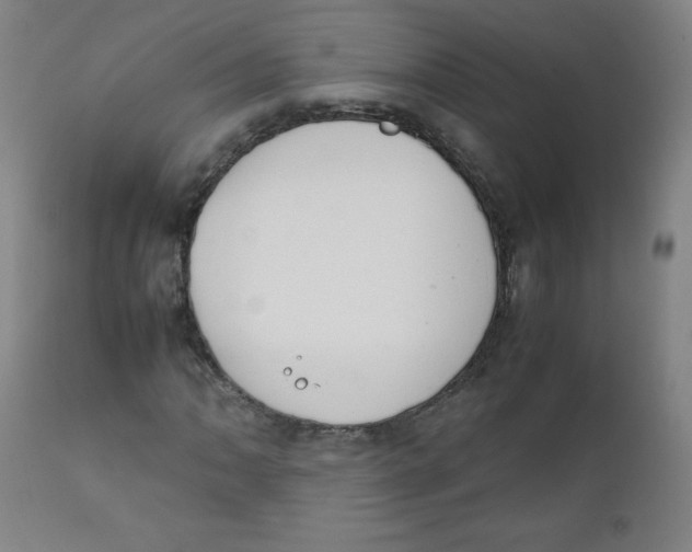 X0000111881062200908201252