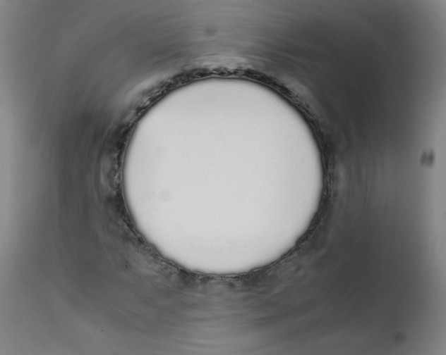 X0000111881063200908201252