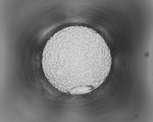 X0000111881064200908201252