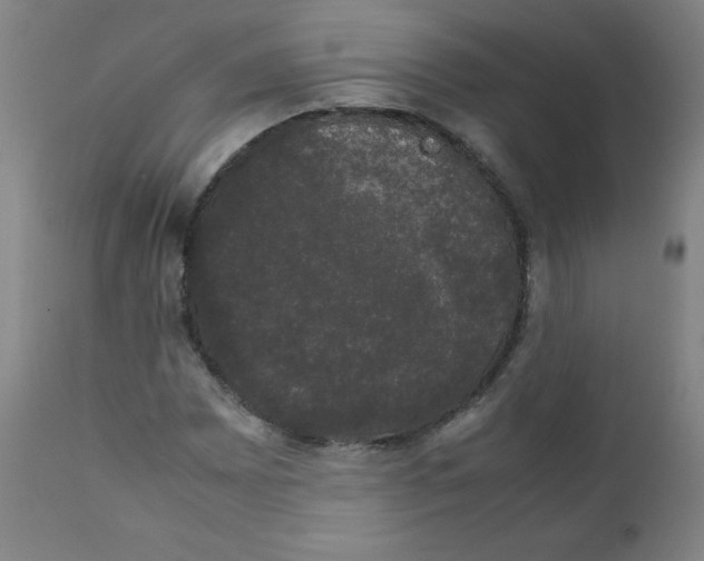 X0000111881065200908201252