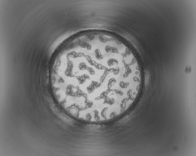 X0000111881069200908201252