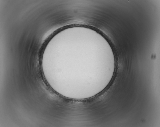 X0000111881070200908201252
