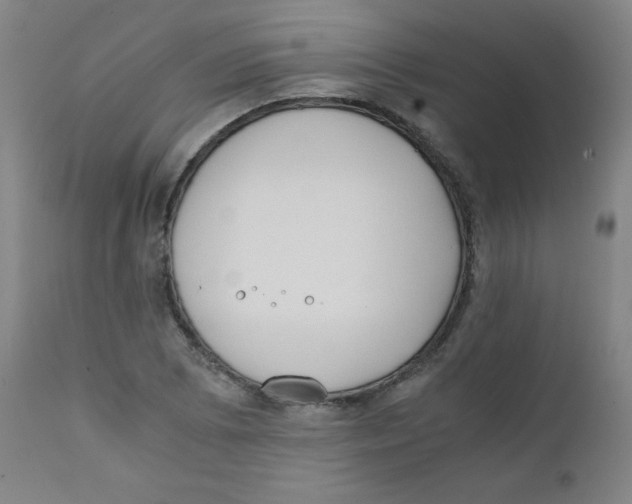 X0000111881073200908201252