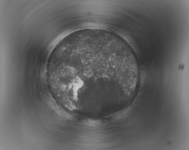 X0000111881074200908201252