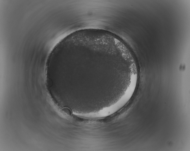 X0000111881077200908201252