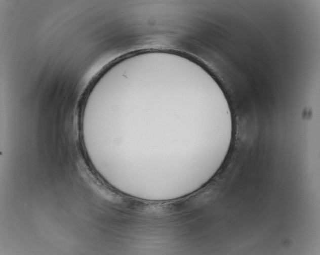 X0000111881078200908201252