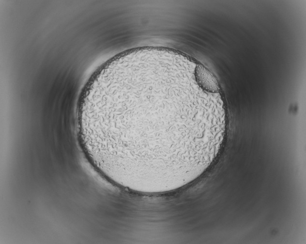 X0000111881080200908201252