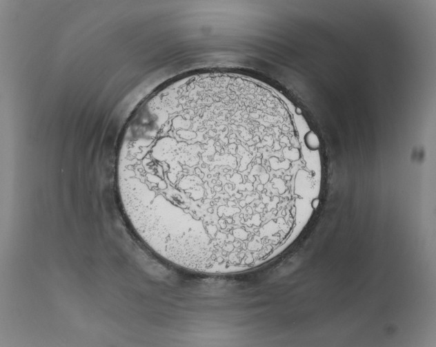 X0000111881081200908201252