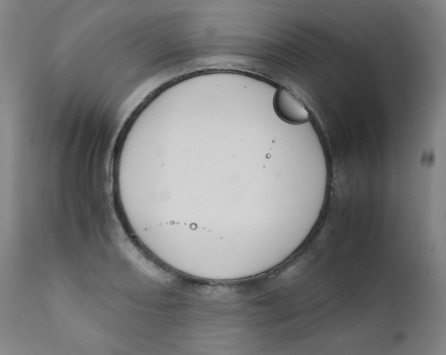 X0000111881082200908201252