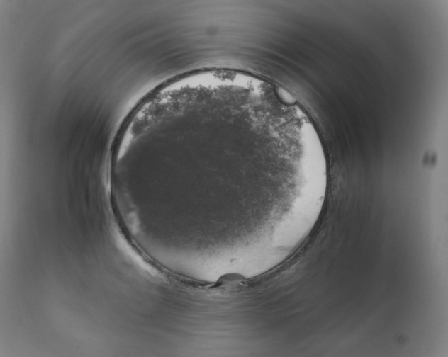 X0000111881084200908201252