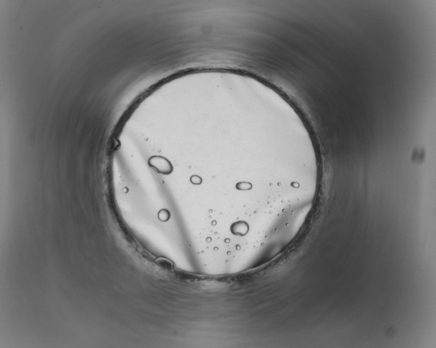 X0000111881085200908201252
