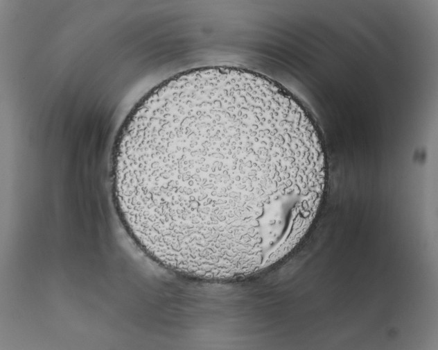 X0000111881088200908201252