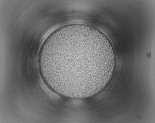 X0000111881090200908201252
