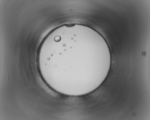 X0000111881091200908201251