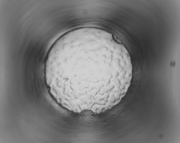 X0000111881092200908201251