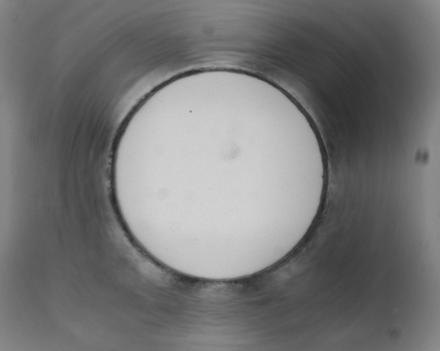 X0000111881093200908201251