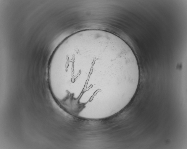 X0000111881095200908201251