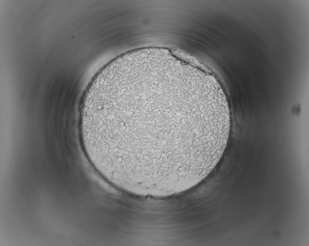 X0000111881096200908201251