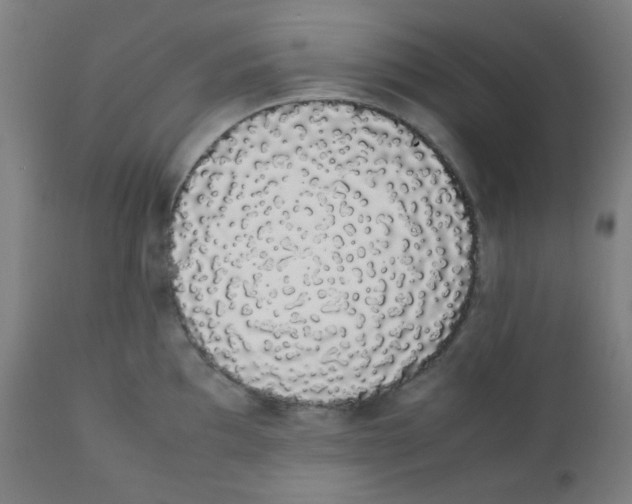 X0000111881097200908201251