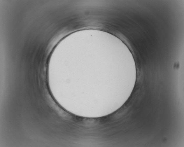 X0000111881099200908201251
