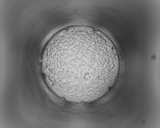 X0000111881101200908201251