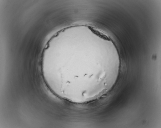 X0000111881102200908201251