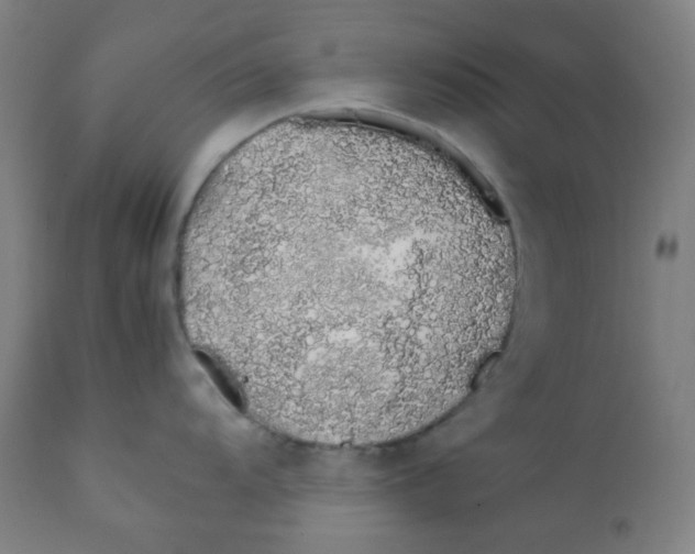 X0000111881104200908201251