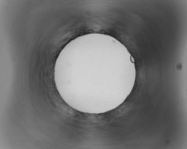 X0000111881105200908201251