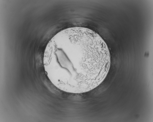X0000111881106200908201251