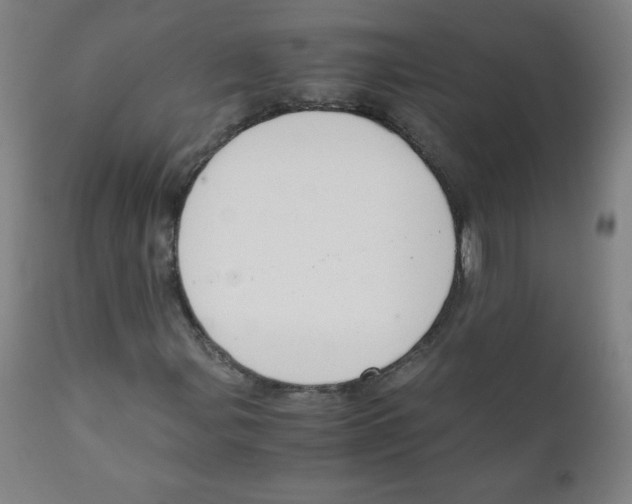 X0000111881107200908201251
