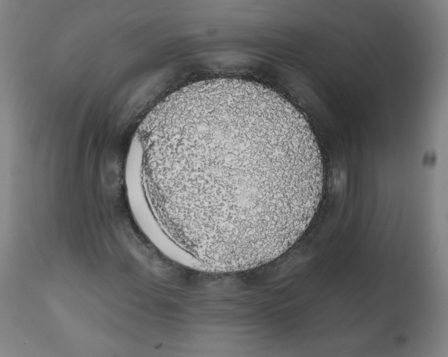 X0000111881108200908201251
