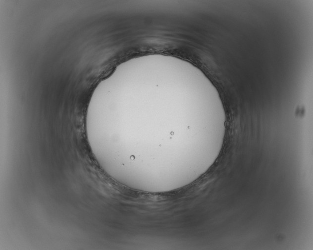X0000111881109200908201251