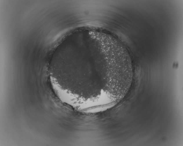 X0000111881110200908201251