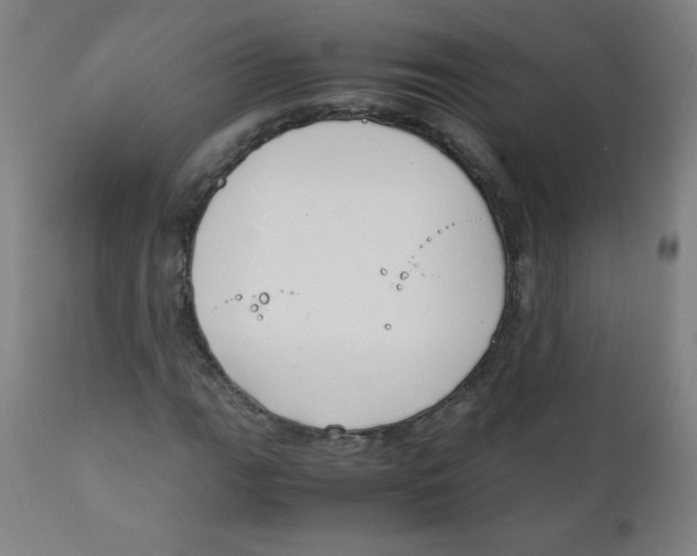 X0000111881111200908201251