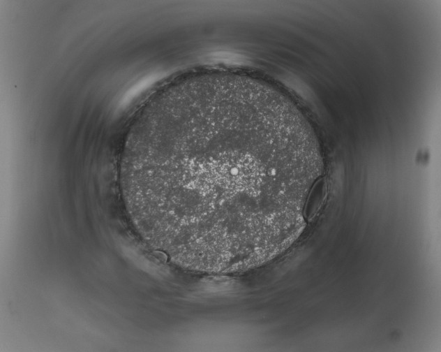 X0000111881112200908201251