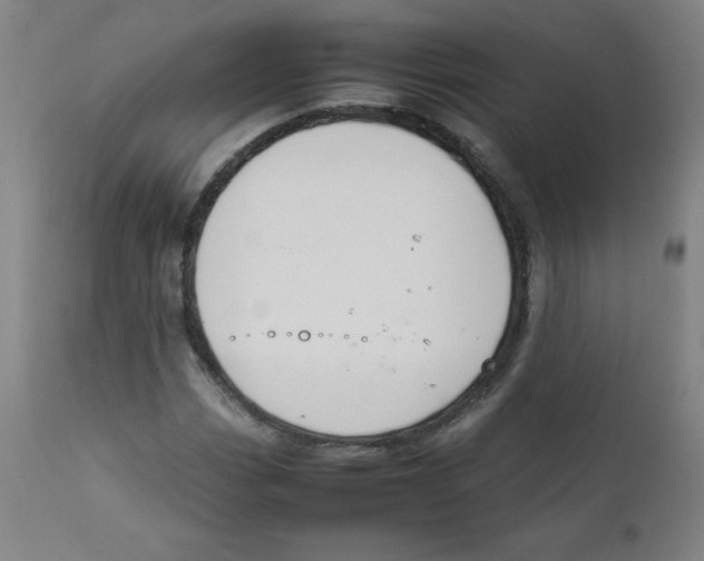 X0000111881113200908201251