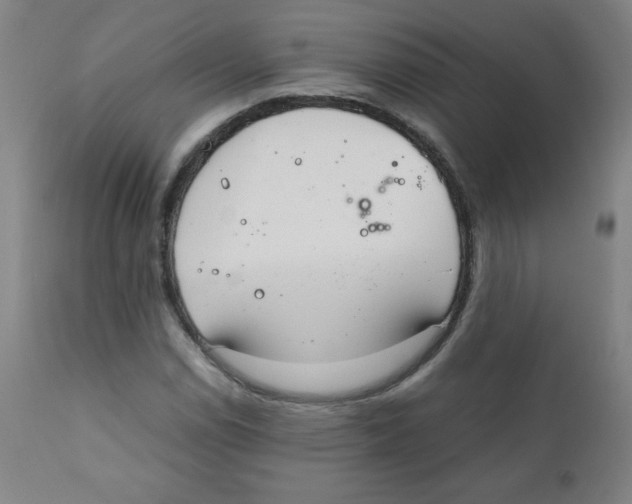 X0000111881114200908201251