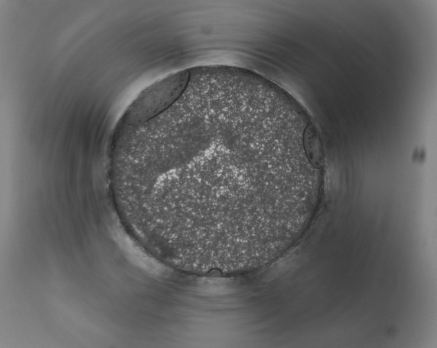 X0000111881116200908201251