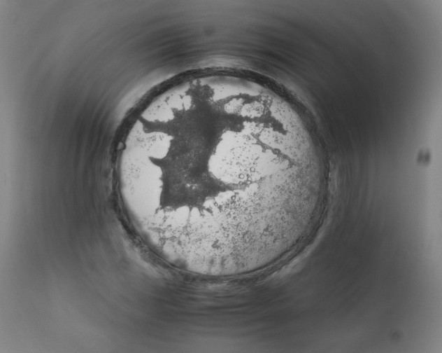 X0000111881117200908201251