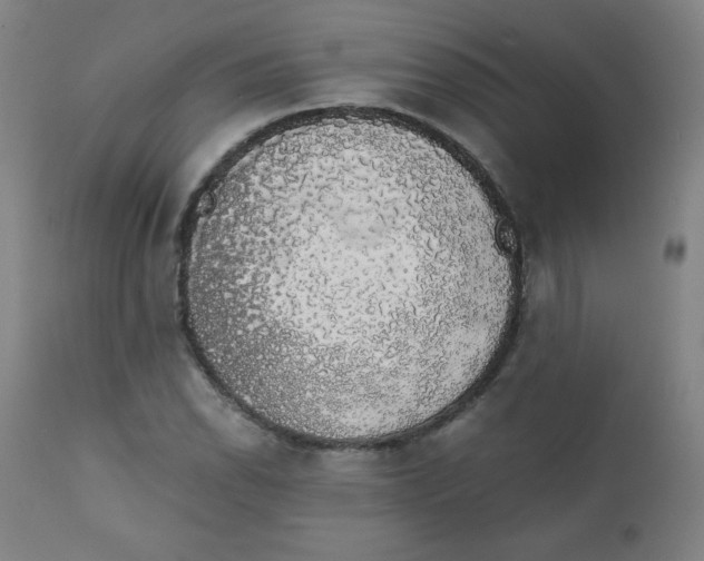 X0000111881118200908201251