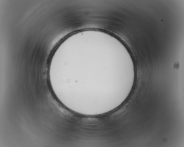 X0000111881119200908201251