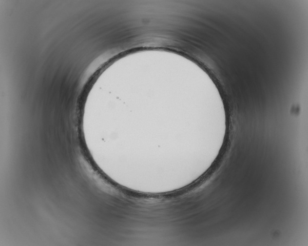 X0000111881122200908201251