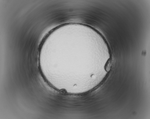 X0000111881123200908201251