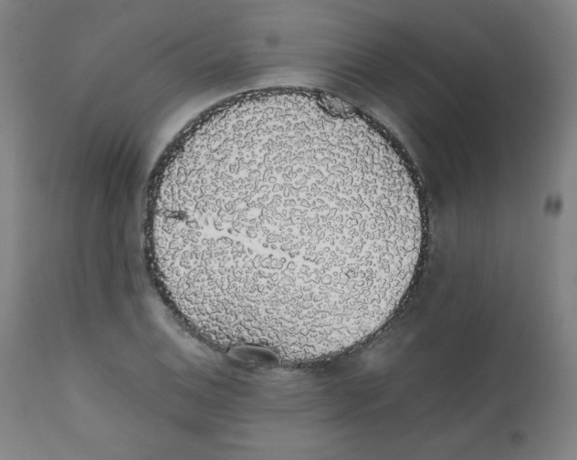 X0000111881124200908201251