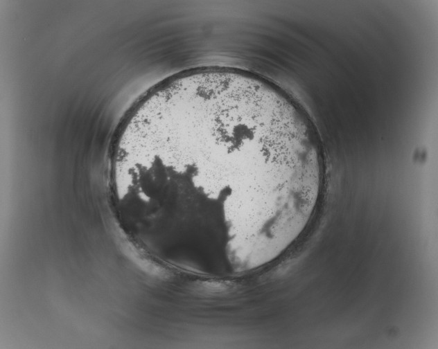 X0000111881125200908201251
