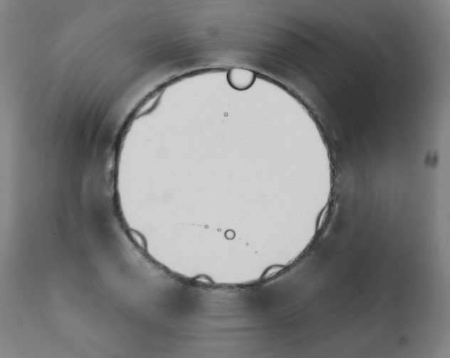 X0000111881126200908201251