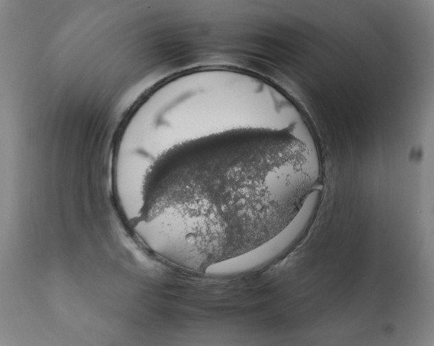 X0000111881127200908201251
