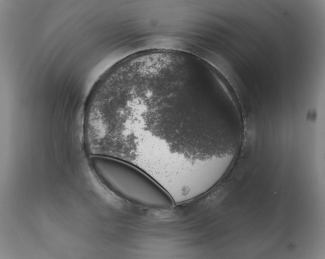 X0000111881128200908201251