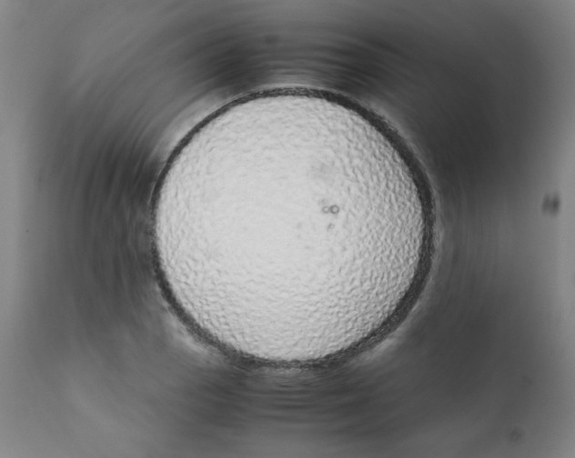 X0000111881129200908201251