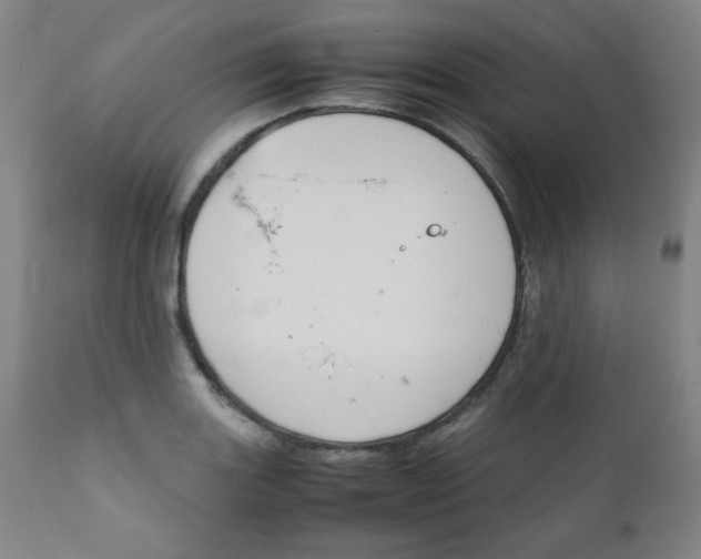 X0000111881131200908201251